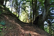 16 Proseguo nel bosco superando vallette